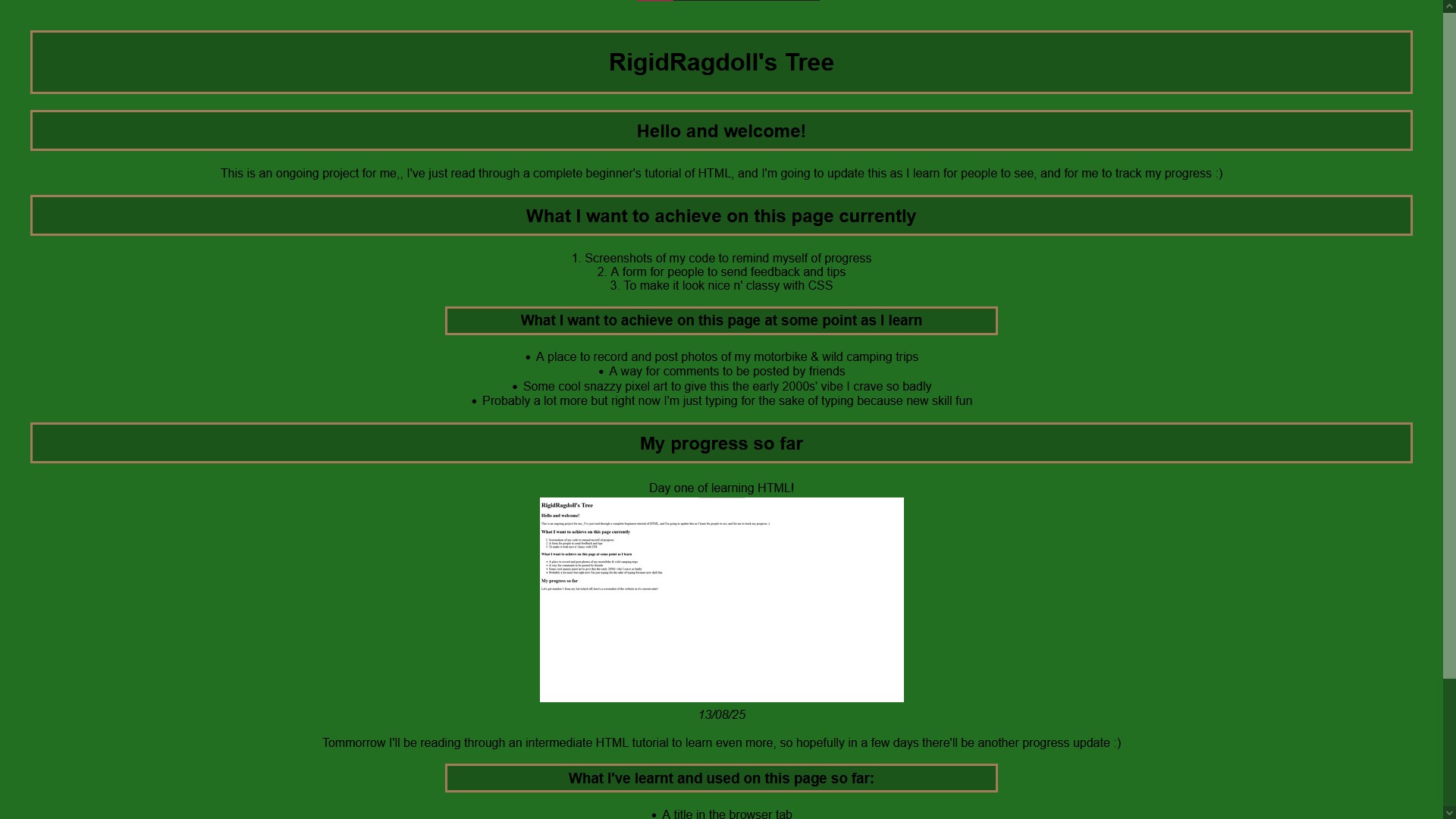 Barebones website but green - 13/08/25